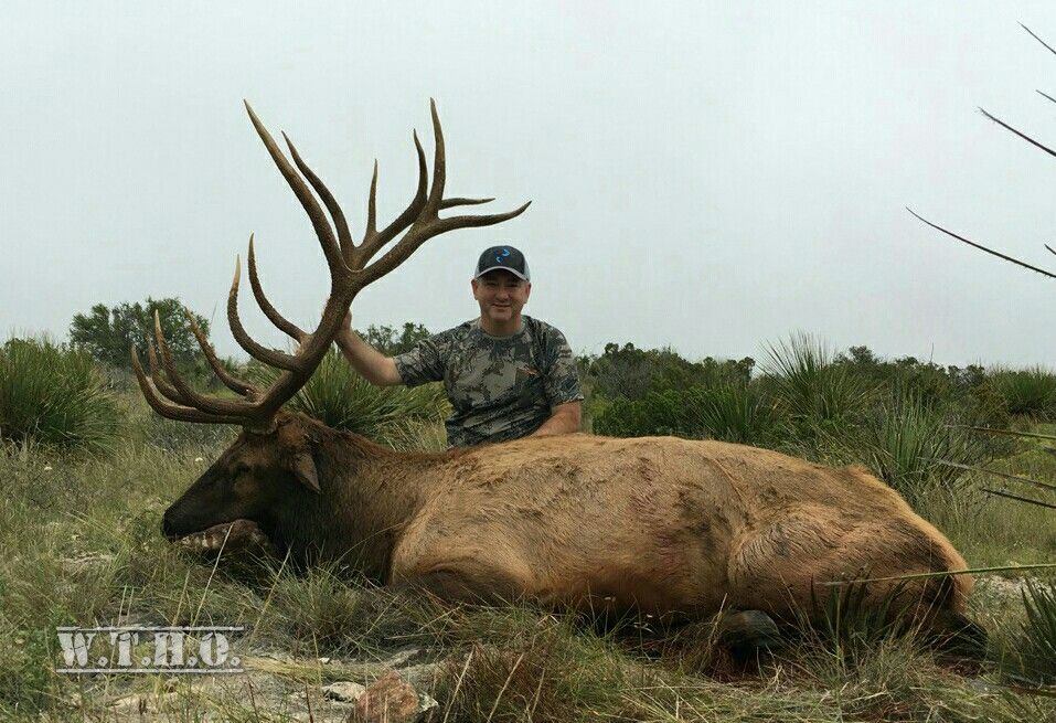 West Texas Elk 24hourcampfire